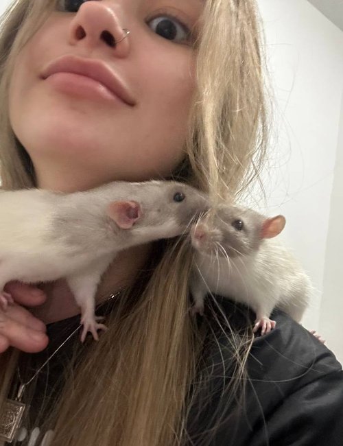 Лейла Майерс